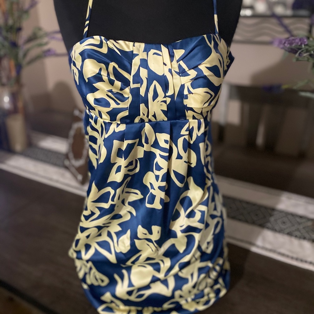 Silky BCBG Cocktail Dress